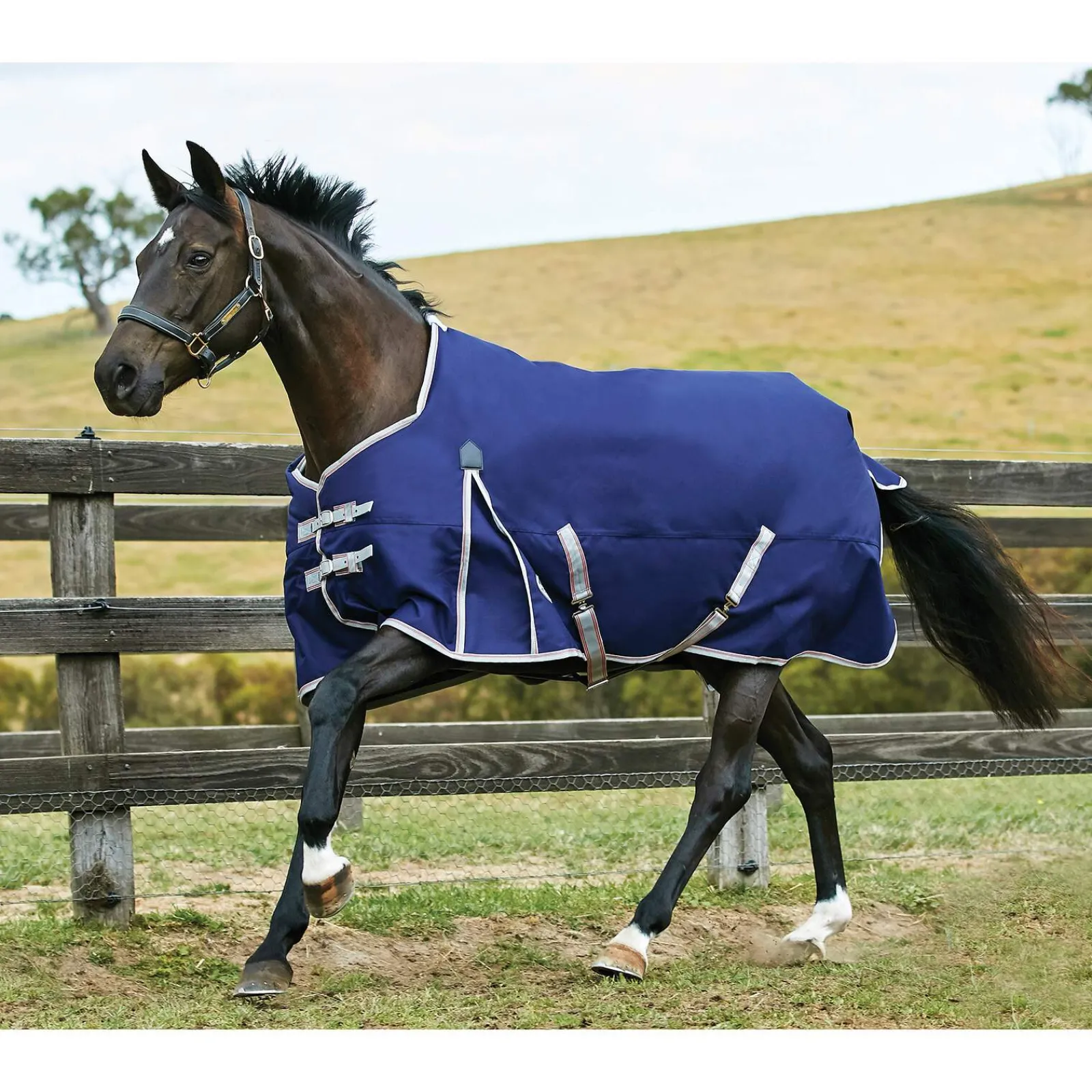 Online Comfitec Essential Turnout Rug, 0g Lightweight Turnout Rugs