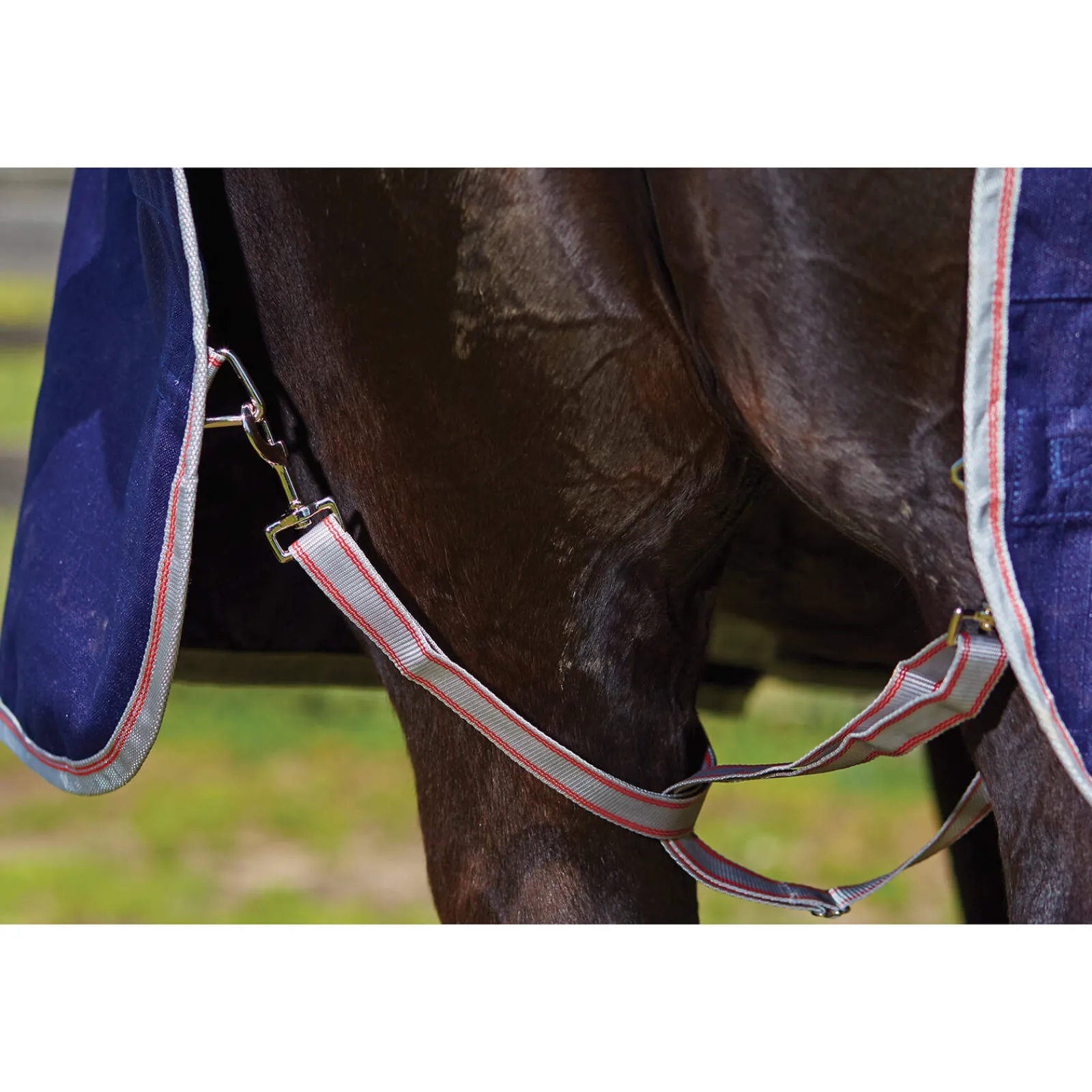 Online Comfitec Essential Turnout Rug, 0g Lightweight Turnout Rugs
