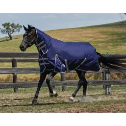 Best Comfitec Essential Turnout Rug with Fixed Neck, 360g Medium & Heavyweight Turnout Rugs