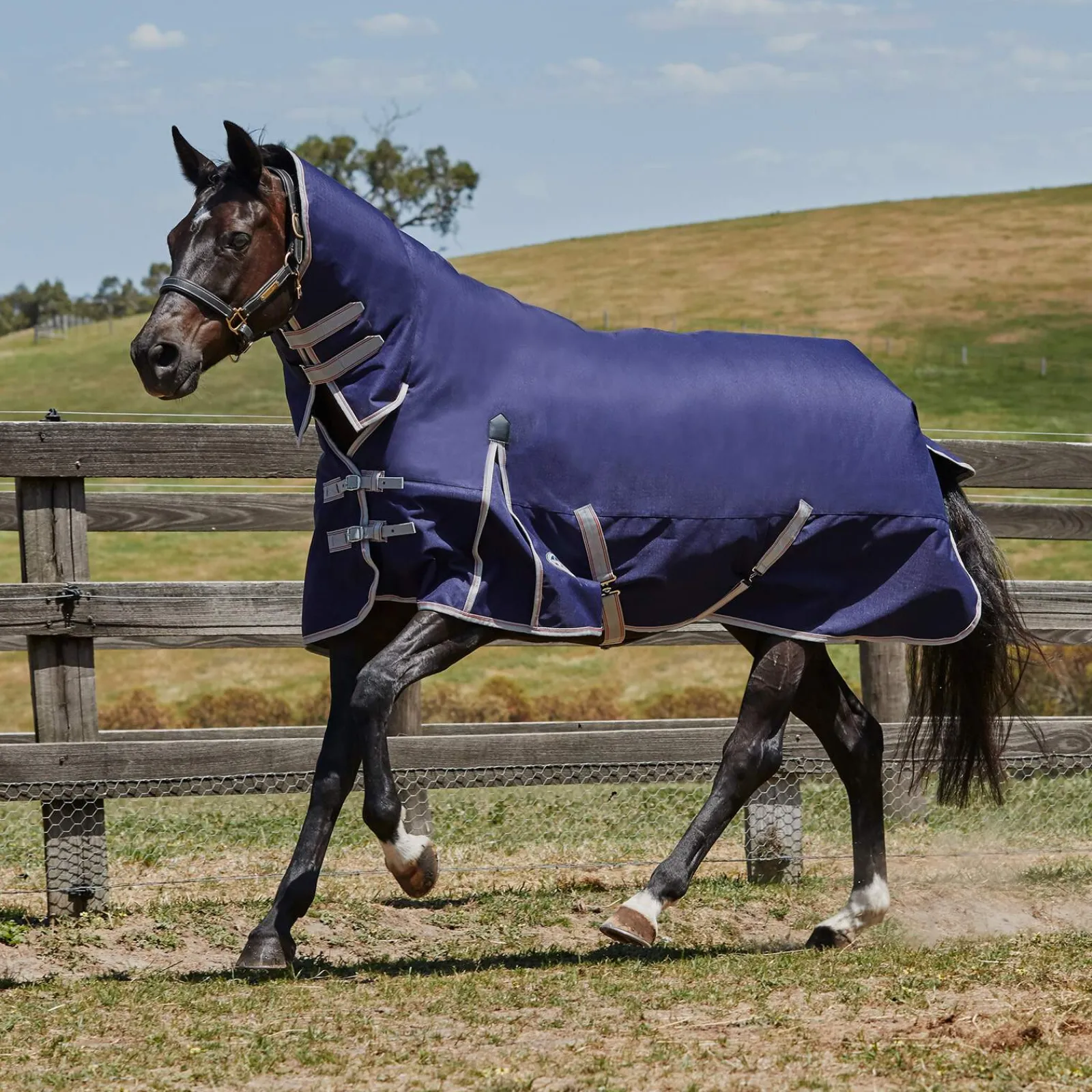 Sale Comfitec Essential Turnout Rug with Fixed Neck, 0g Lightweight Turnout Rugs