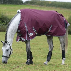 Clearance Comfitec Plus Dynamic II Turnout Rug, 100g Medium & Heavyweight Turnout Rugs