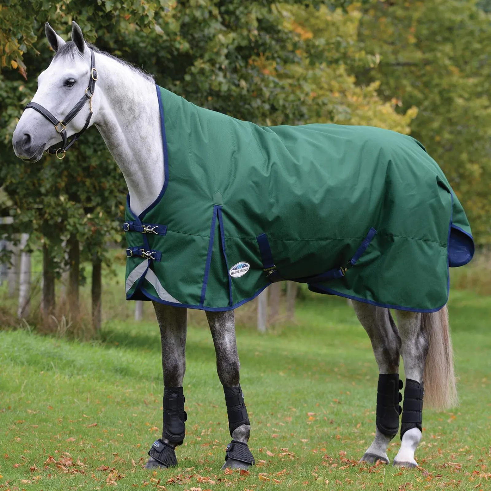 Fashion Comfitec Plus Dynamic II Turnout Rug With High Neck, 0g Lightweight Turnout Rugs