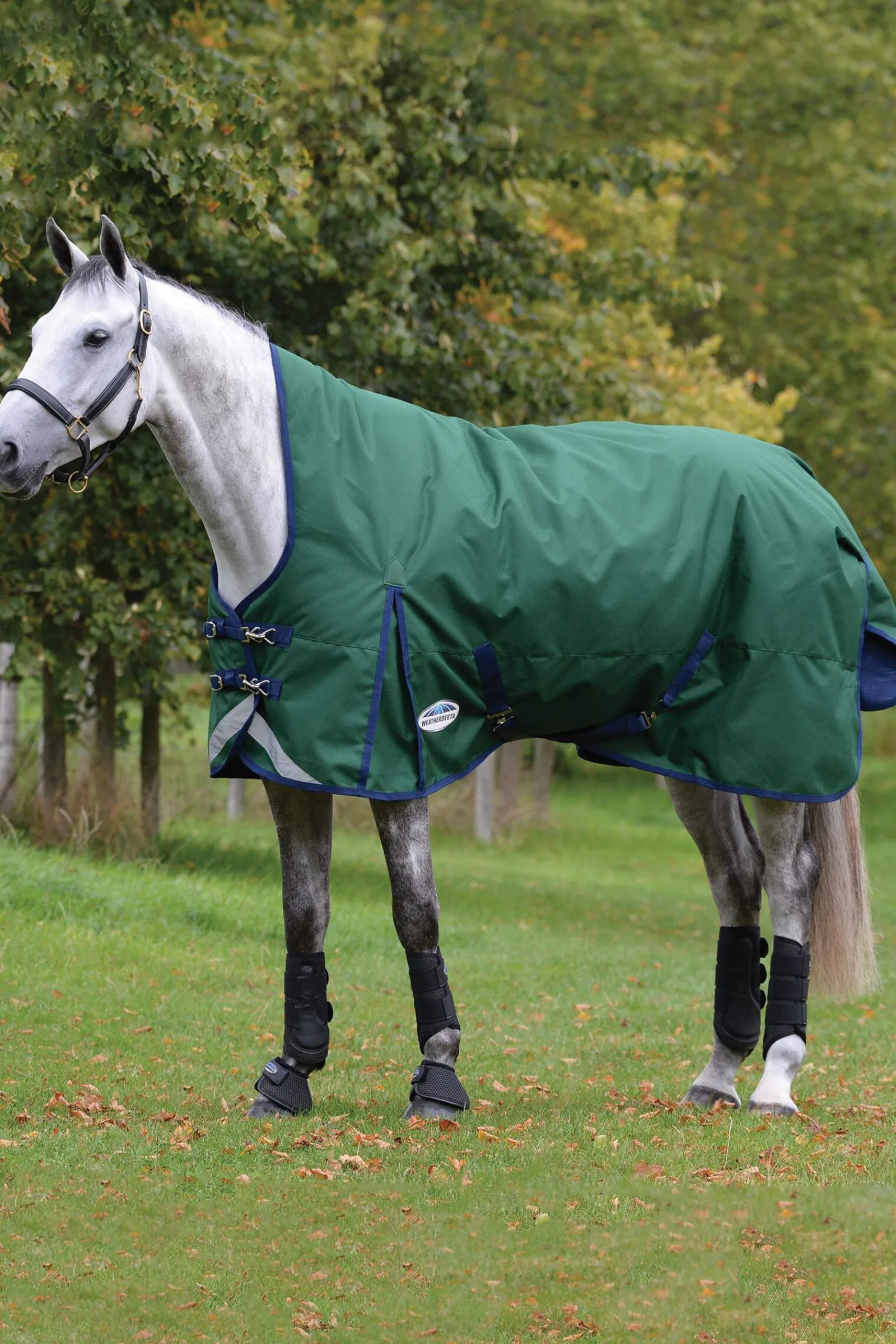 Clearance Comfitec Plus Dynamic II High Neck Medium/Light Turnout Rug, 100g Medium & Heavyweight Turnout Rugs