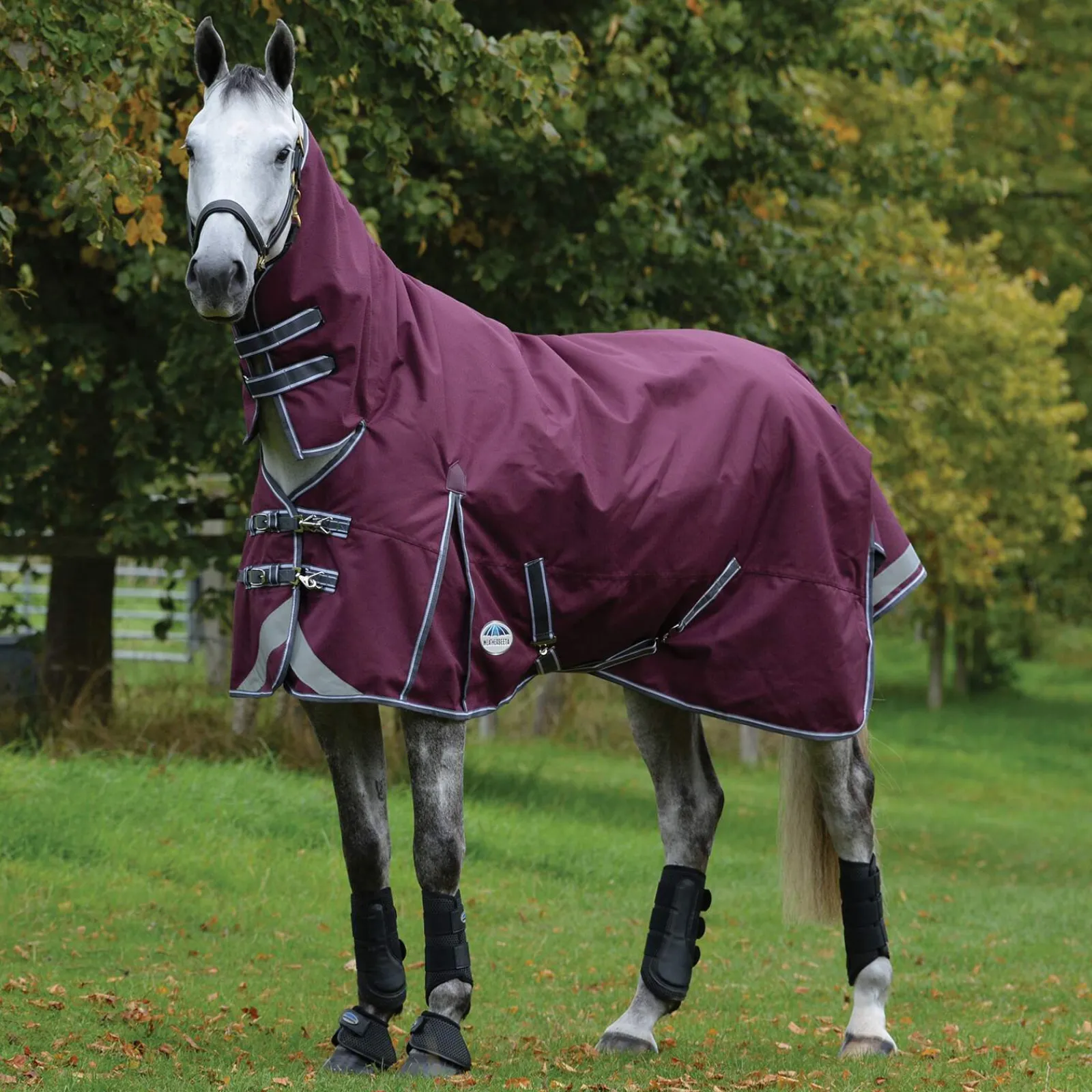 Online Comfitec Plus Dynamic II Combo Neck Turnout Rug, 220g Medium & Heavyweight Turnout Rugs