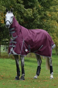 Clearance Comfitec Plus Dynamic II Turnout Rug With Fixed Neck, 100g Medium & Heavyweight Turnout Rugs