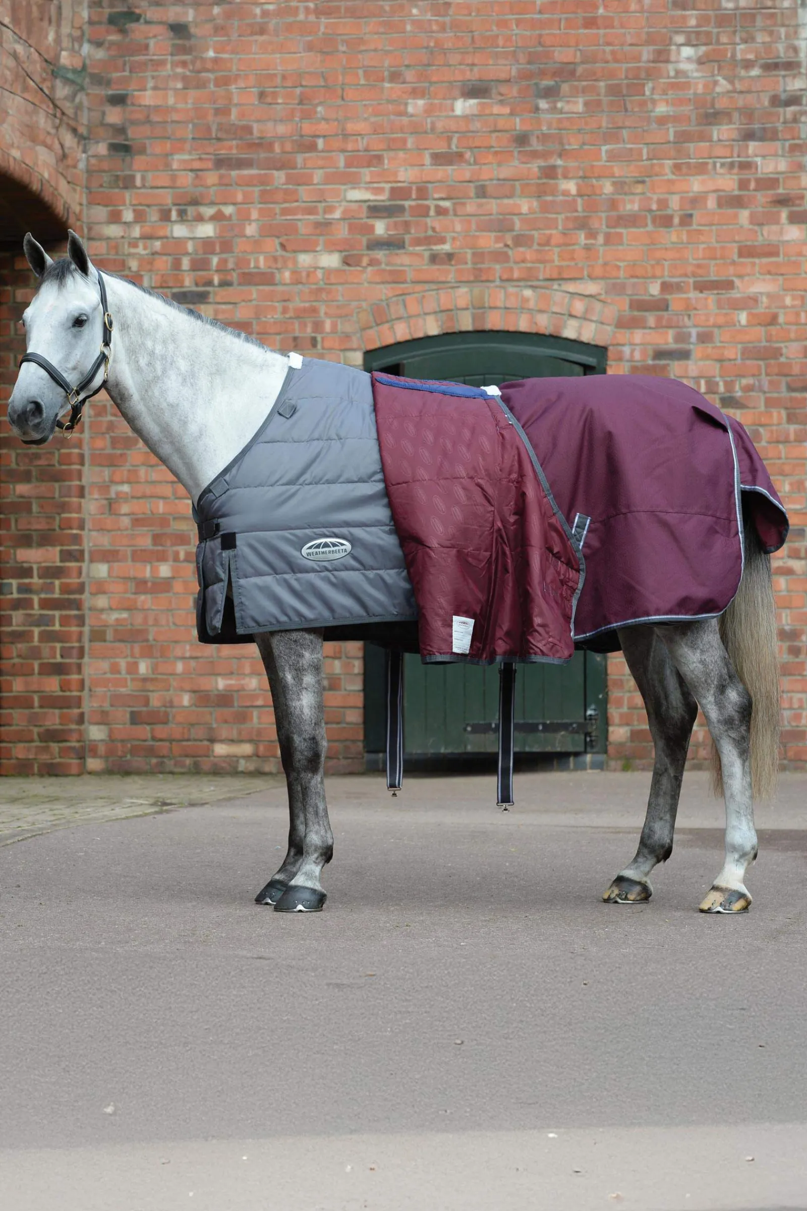 Clearance Comfitec Plus Dynamic II Turnout Rug With Fixed Neck, 100g Medium & Heavyweight Turnout Rugs