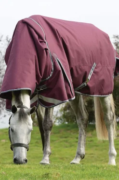 Fashion Comfitec Plus Dynamic II Detach-a-Neck Heavy Turnout Rug, 360g Medium & Heavyweight Turnout Rugs