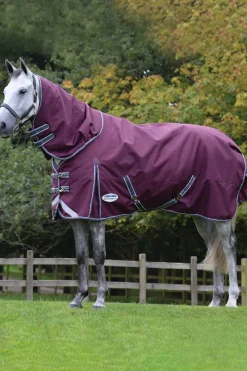 Fashion Comfitec Plus Dynamic II Detach-a-Neck Heavy Turnout Rug, 360g Medium & Heavyweight Turnout Rugs