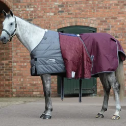Best Comfitec Plus Dynamic II Detach-a-Neck Turnout Rug, 0g Medium & Heavyweight Turnout Rugs