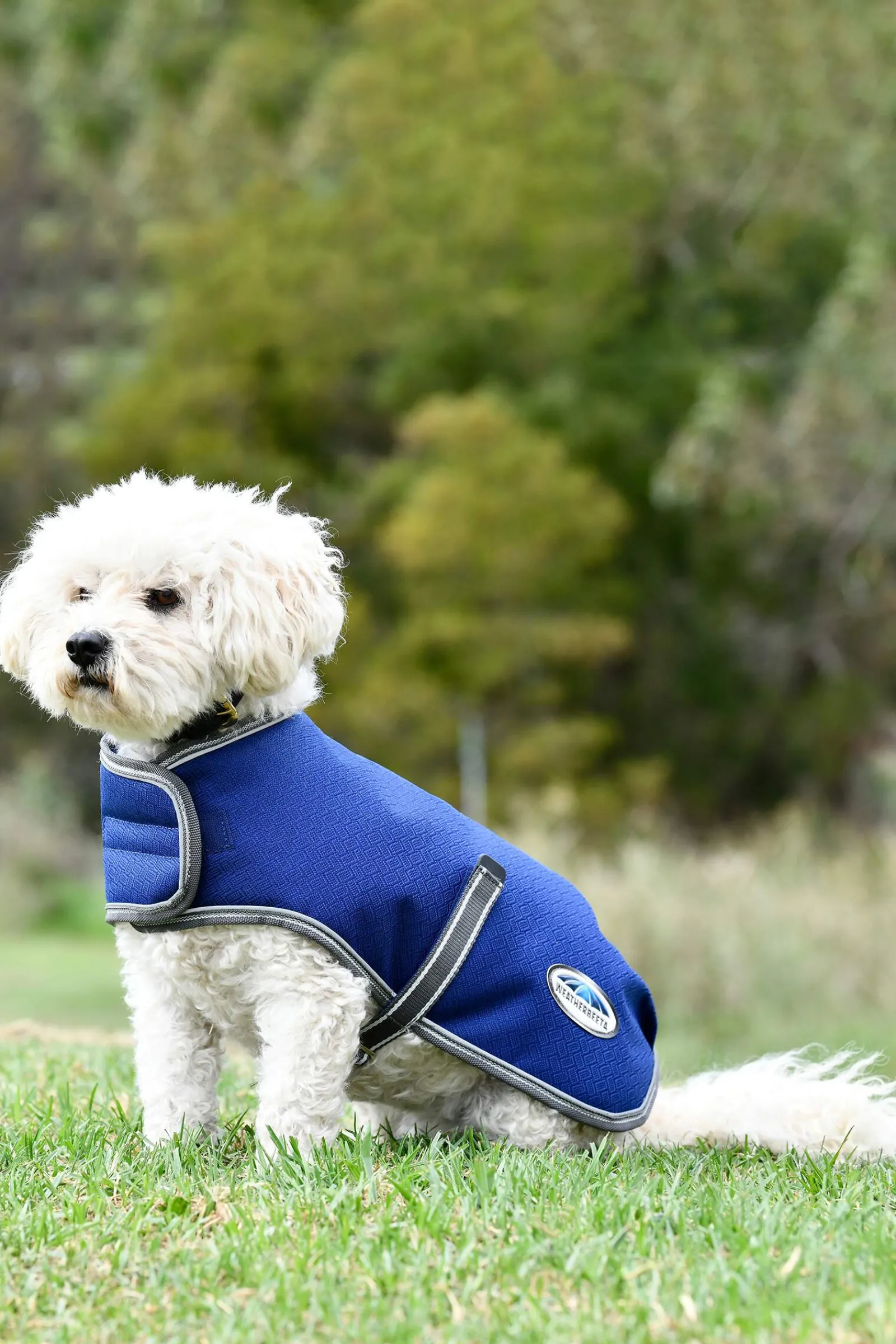 New Comfitec Premier Free Parka Dog Coat Medium, 220g Dog Rugs & Coats