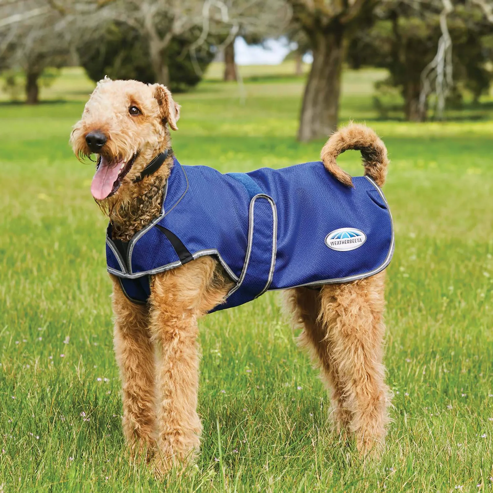 Online Comfitec Premier Free Parka Deluxe Dog Coat, 220g Dog Rugs & Coats