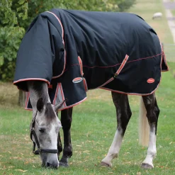 Hot Comfitec Premier with Therapy-Tec incl. Detachable Neck, 220g Medium & Heavyweight Turnout Rugs