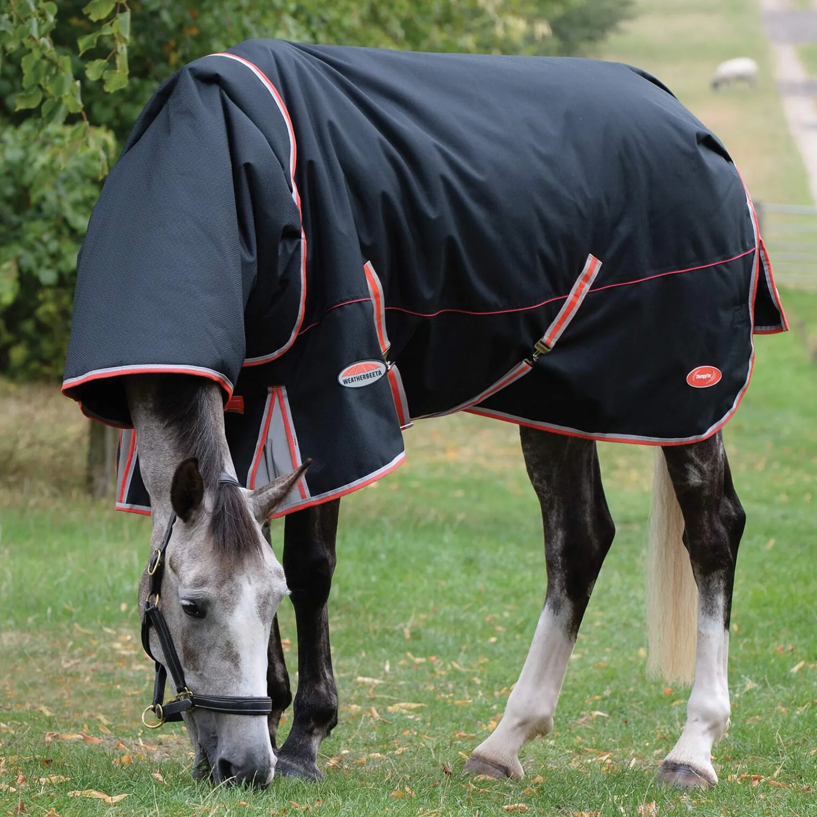 Hot Comfitec Premier with Therapy-Tec incl. Detachable Neck, 220g Medium & Heavyweight Turnout Rugs