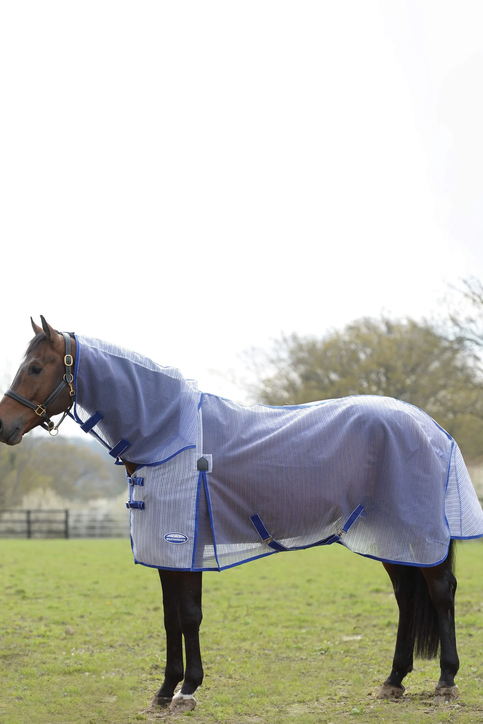 Outlet Comfitec Ripshield Plus with Ultra Belly Wrap Combo Neck Lightweight Turnout Rugs
