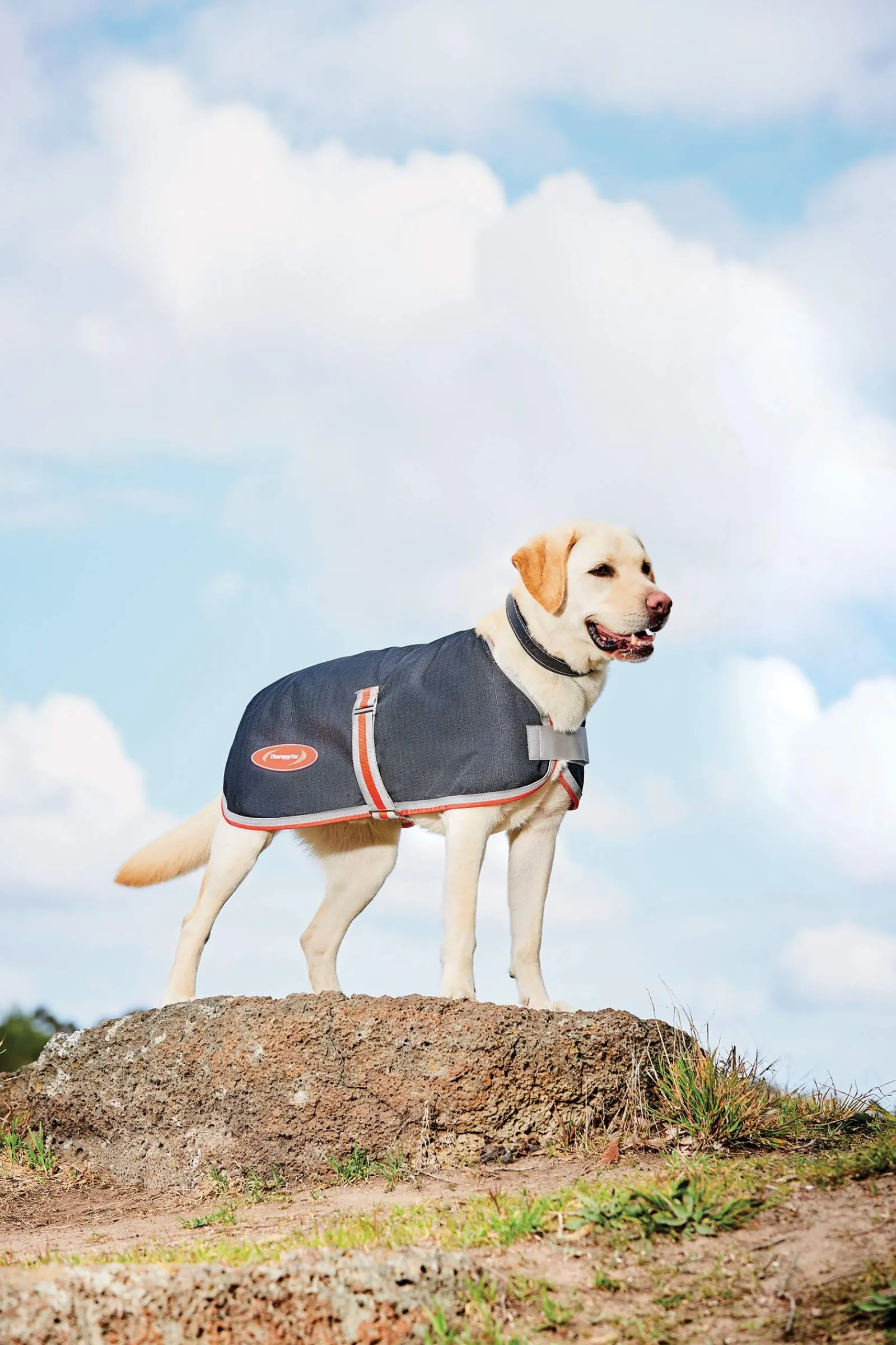 Clearance Comfitec Therapy-Tec 1200D Dog Coat, 100g Dog Rugs & Coats
