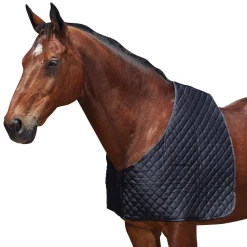 Discount Deluxe Shoulder Guard Horse Rug Accessories