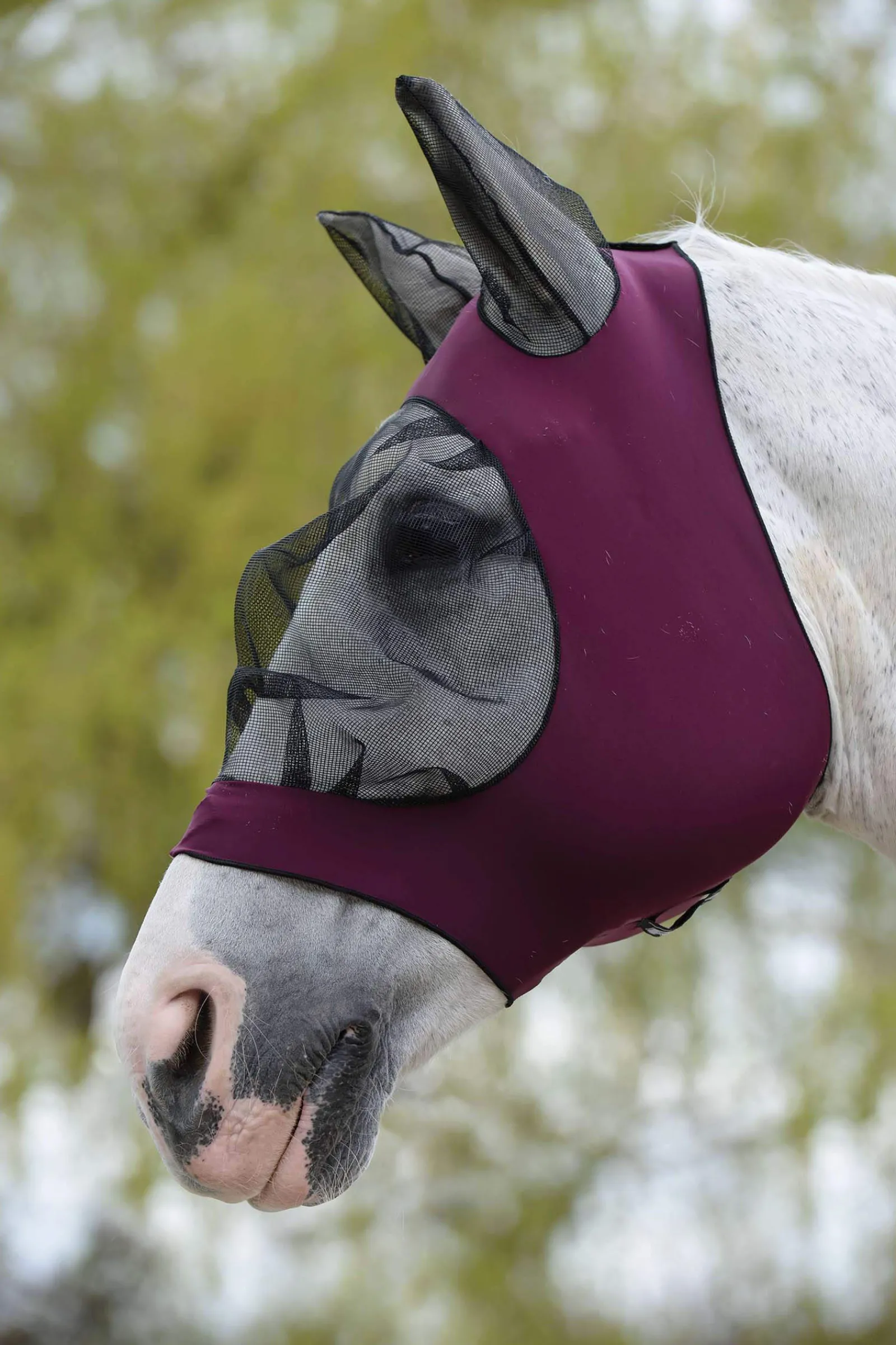 Fashion Deluxe Stretch Bug Eye Saver with Ears Fly Masks & Fringes|Fly Masks & Fringes