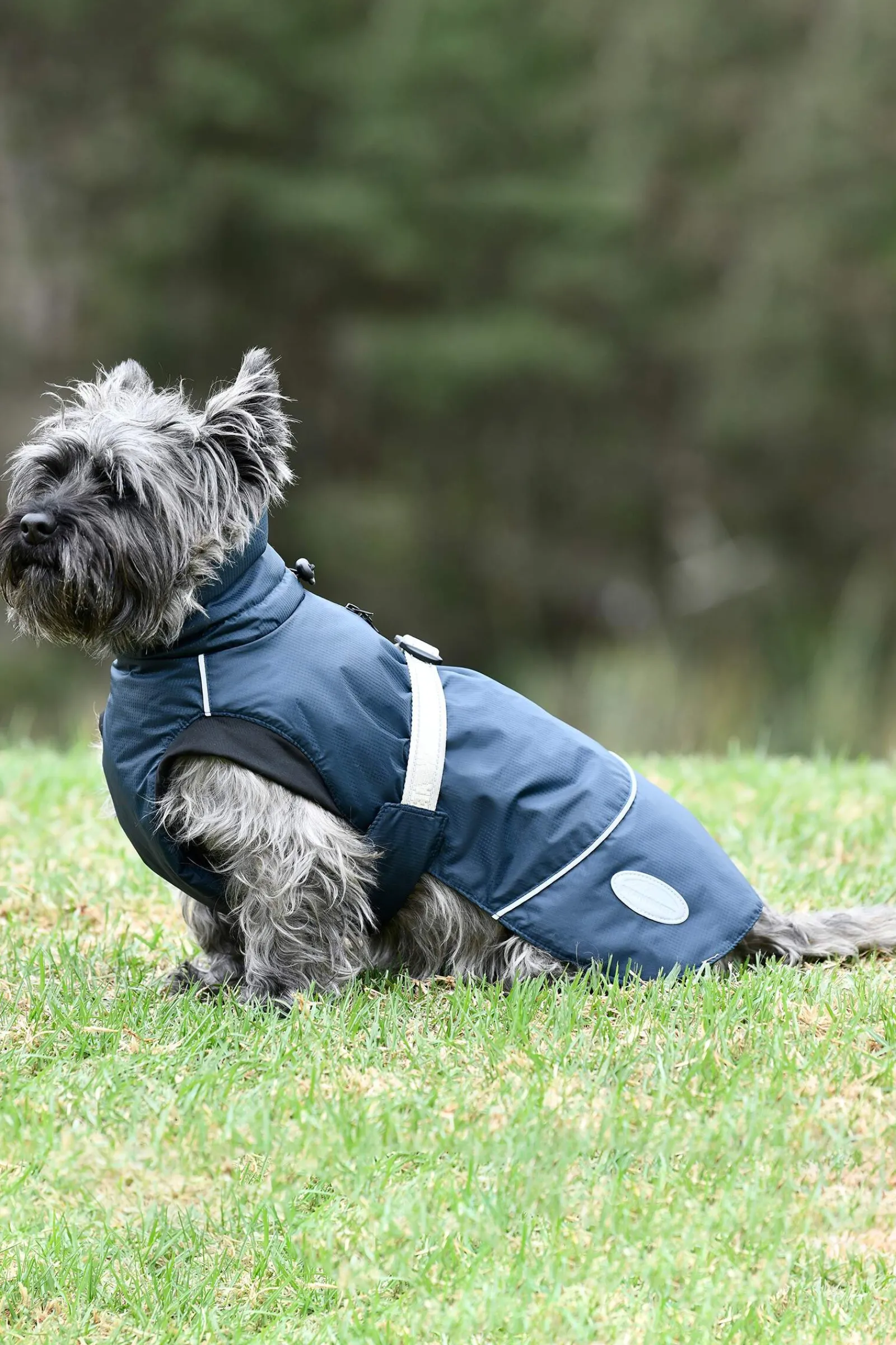 New Explorer Medium Dog Coat Dog Rugs & Coats