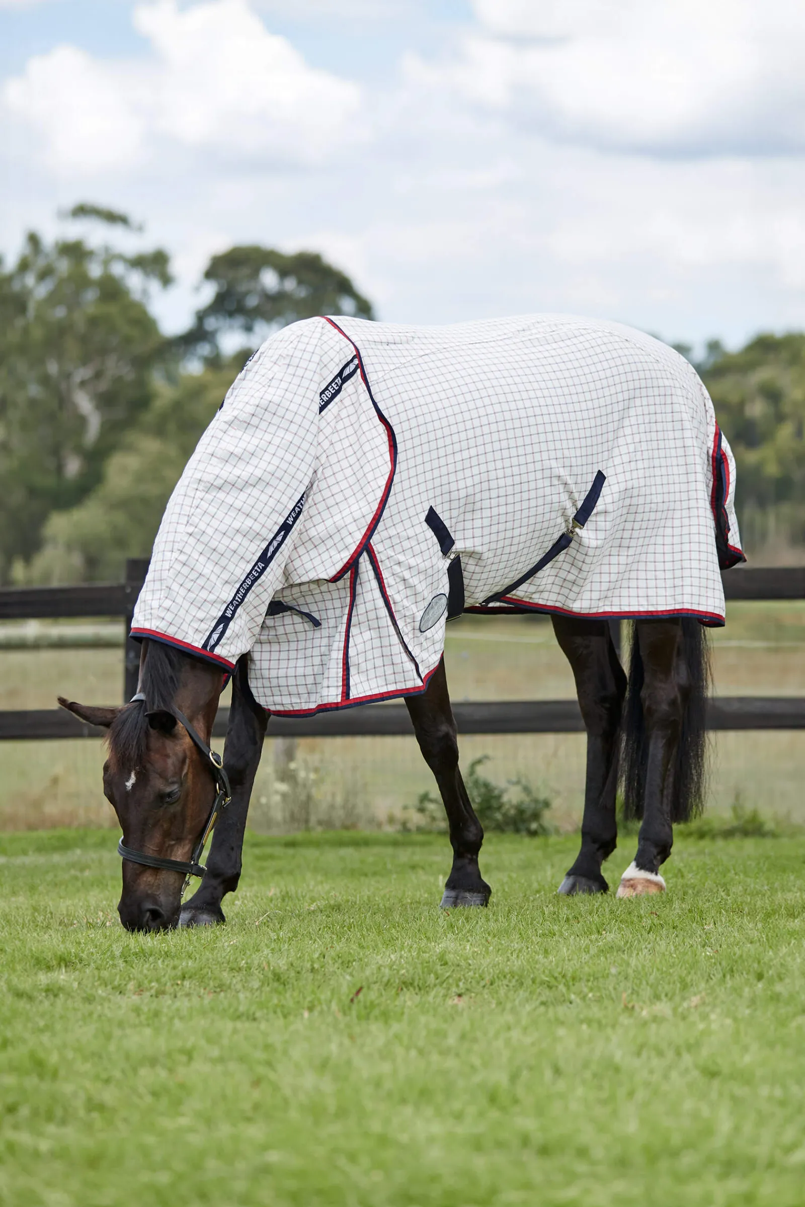 Clearance Summer Sheet Lite IV Combo Neck Fly Rugs|Fly Rugs